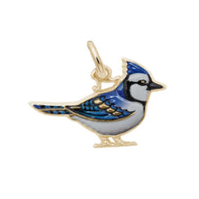 Load image into Gallery viewer, Blue Jay - Painted
