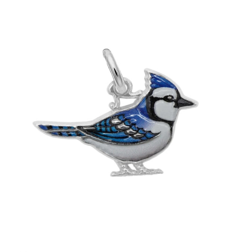 Blue Jay - Painted